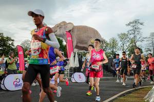 BIB: 
                            <button type="button" onclick="openModal(26528293)" class="btn btn-primary btn-sm float-right btn-popup" data-toggle="modal" data-target=".modal-high-quality">
                        <i class="fas fa-shopping-cart"></i> Add to Cart
                    </button>
                                            <button type="button" onclick="isThisMe(26528293, true)" class="btn btn-success btn-sm float-right btn-popup btn-isme hidden" data-toggle="tooltip" data-placement="bottom" title="นี่คือรูปของคุณใช่ไหม คลิกที่นี่เพื่อเอาเข้าอัลบั้ม">
                        <i class="fas fa-plus"></i> Add to album
                    </button>
                    <button type="button" onclick="isThisMe(26528293, false)" class="btn btn-warning btn-sm float-right btn-popup btn-isnotme hidden">
                        <i class="fas fa-ban"></i> Remove from album
                    </button>